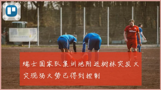 瑞士国家队集训地附近树林突发火灾现场火势已得到控制